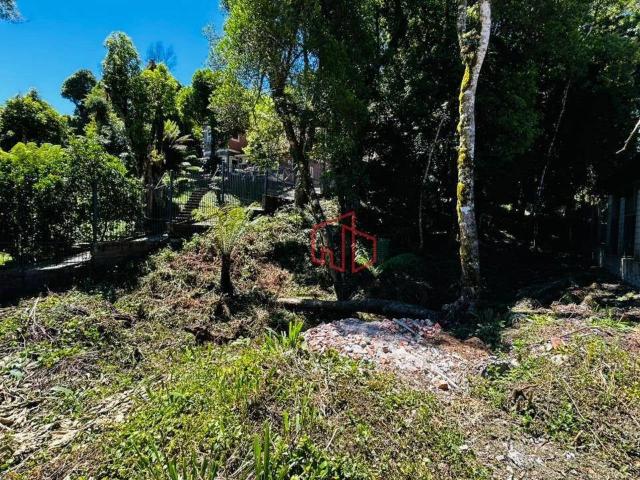 Terreno venda em Canela
