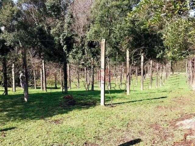 Terreno venda em Região Geográfica Imediata de Caxias do Sul, Canela