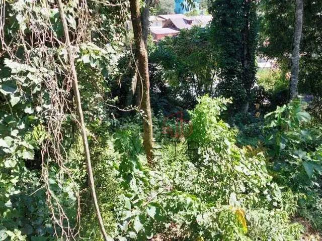 Terreno venda em Região Geográfica Imediata de Caxias do Sul, Canela