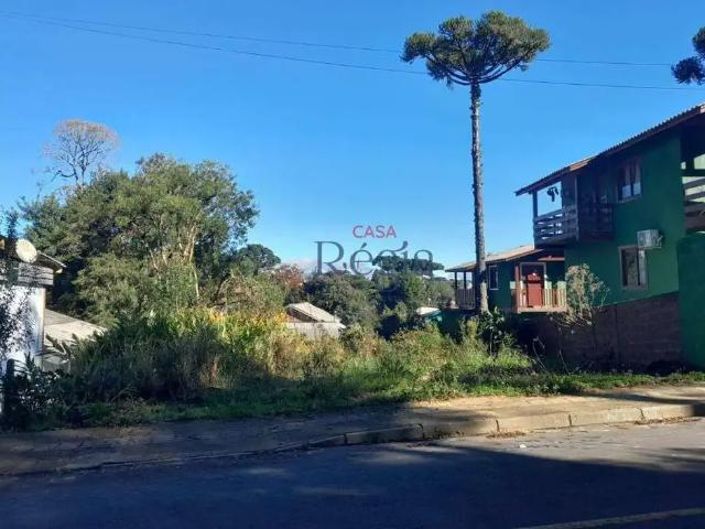 Terreno venda em Canela