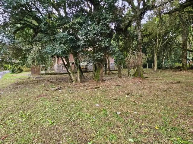 Terreno venda em Canela, Região Geográfica Intermediária de Caxias do Sul