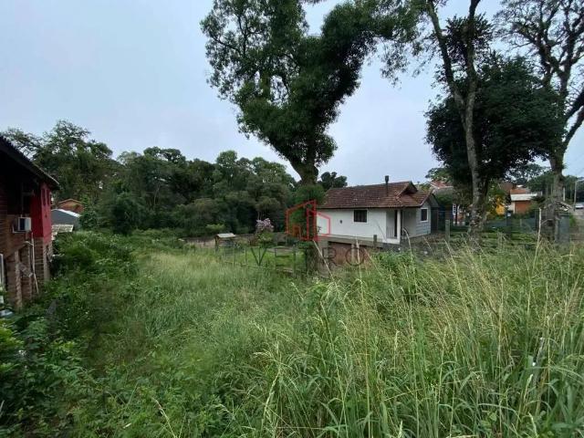 Terreno venda em Canela