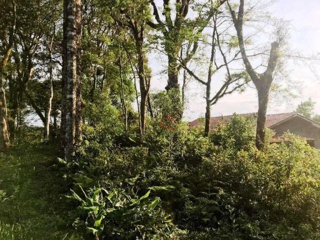 Terreno venda em Região Geográfica Imediata de Caxias do Sul, Canela