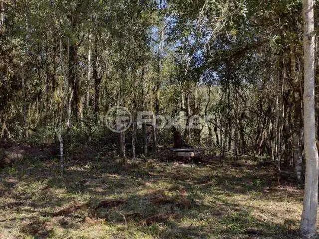 Terreno venda em Região Geográfica Imediata de Caxias do Sul, Canela