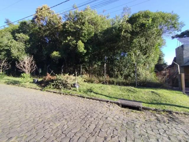 Terreno venda em Canela