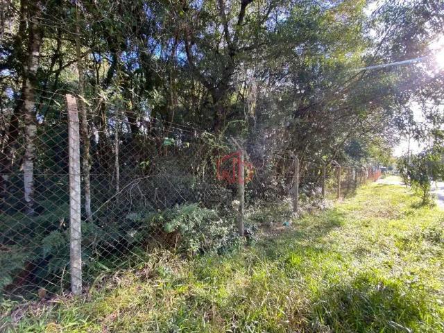 Terreno venda em Região Geográfica Imediata de Caxias do Sul, Canela