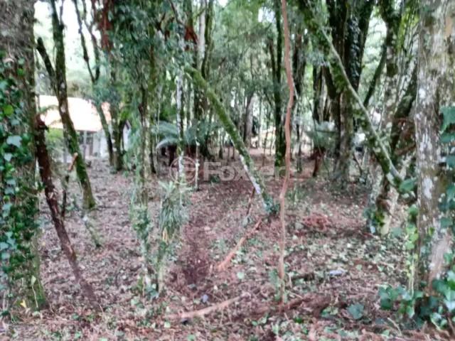 Terreno venda em Região Geográfica Imediata de Caxias do Sul, Canela