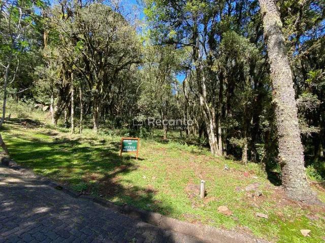 Terreno venda em Região Geográfica Imediata de Caxias do Sul, Canela