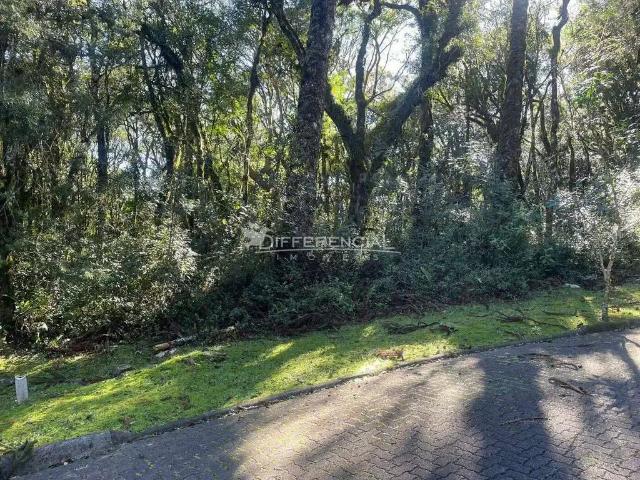 Terreno venda em Região Geográfica Imediata de Caxias do Sul, Canela