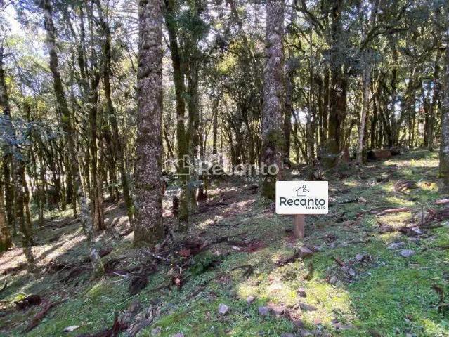 Terreno venda em Região Geográfica Imediata de Caxias do Sul, Canela