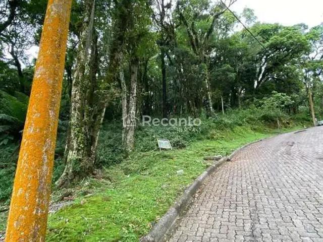 Terreno venda em Região Geográfica Imediata de Caxias do Sul, Canela