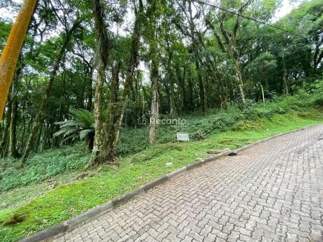 Terreno venda em Região Geográfica Imediata de Caxias do Sul, Canela