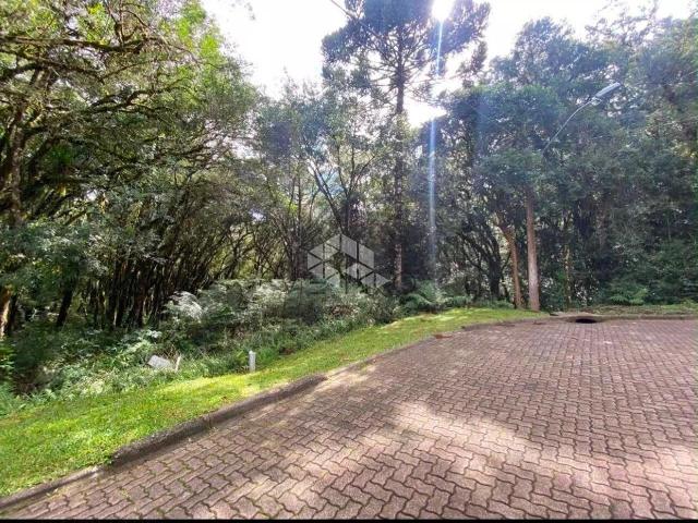 Terreno venda em Canela