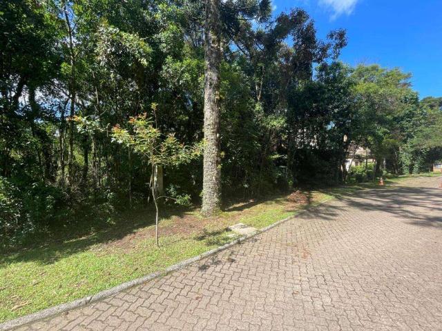 Terreno venda em Região Geográfica Imediata de Caxias do Sul, Canela