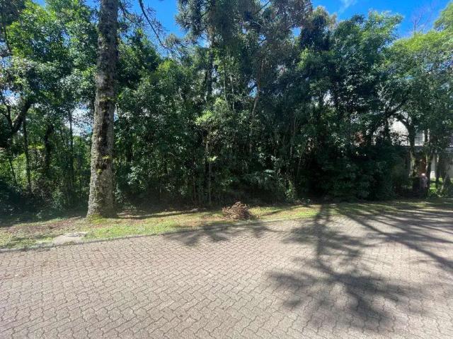 Terreno venda em Região Geográfica Imediata de Caxias do Sul, Canela