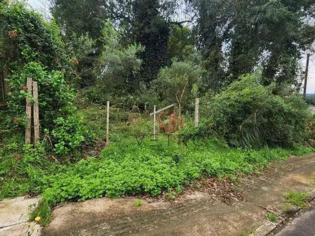 Terreno venda em Região Geográfica Imediata de Caxias do Sul, Canela