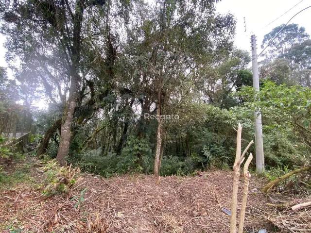 Terreno venda em Região Geográfica Imediata de Caxias do Sul, Canela
