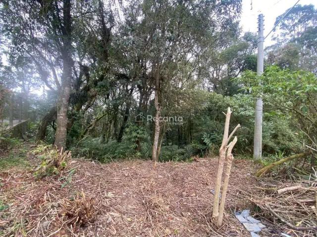 Terreno venda em Região Geográfica Imediata de Caxias do Sul, Canela