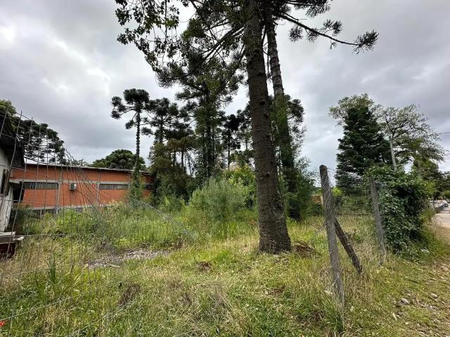 Terreno venda em Canela, Região Geográfica Intermediária de Caxias do Sul