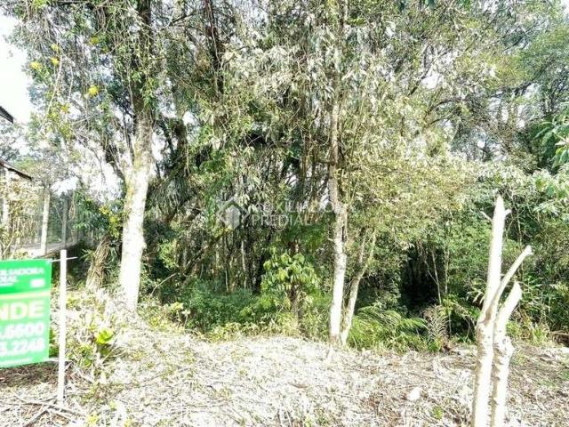 Terreno venda em Região Geográfica Imediata de Caxias do Sul, Canela