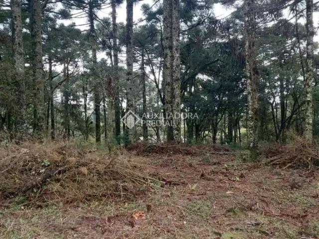 Terreno venda em Região Geográfica Imediata de Caxias do Sul, Canela