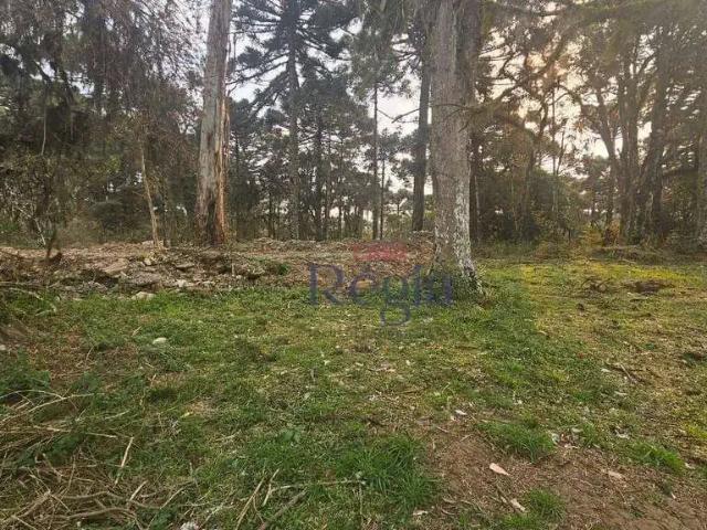 Terreno venda em Região Geográfica Imediata de Caxias do Sul, Canela