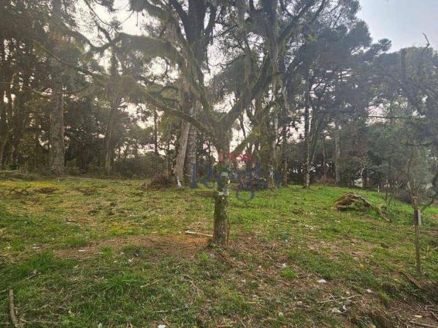 Terreno venda em Região Geográfica Imediata de Caxias do Sul, Canela