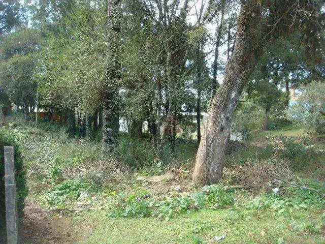 Terreno venda em Região Geográfica Imediata de Caxias do Sul, Canela