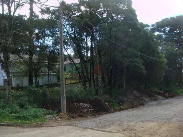 Terreno venda em Região Geográfica Imediata de Caxias do Sul, Canela
