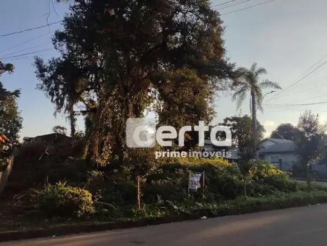 Terreno venda em Canela