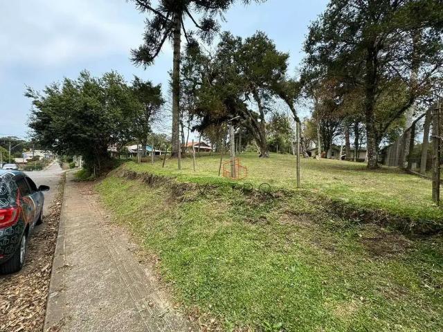 Terreno venda em Região Geográfica Imediata de Caxias do Sul, Canela
