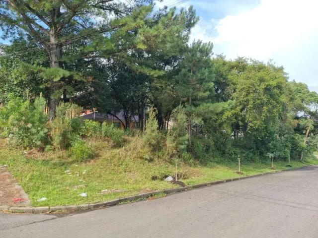 Terreno venda em Região Geográfica Imediata de Caxias do Sul, Canela