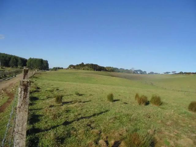 Terreno venda em Região Geográfica Imediata de Caxias do Sul, Canela