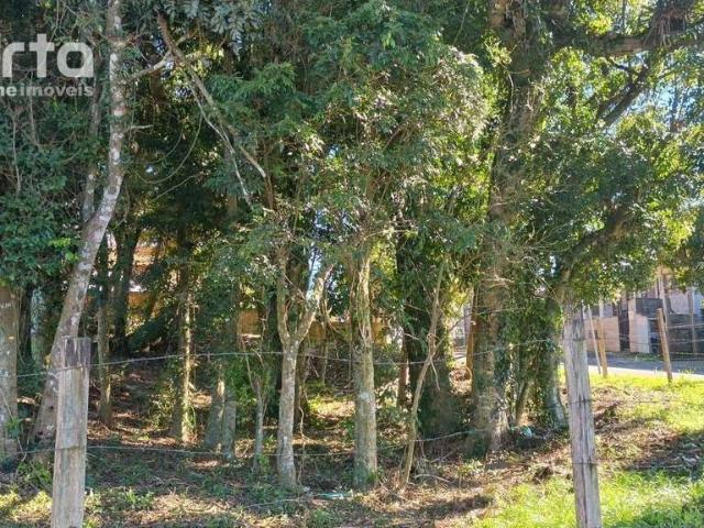Terreno venda em Canela