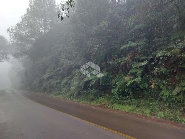 Terreno venda em Canela