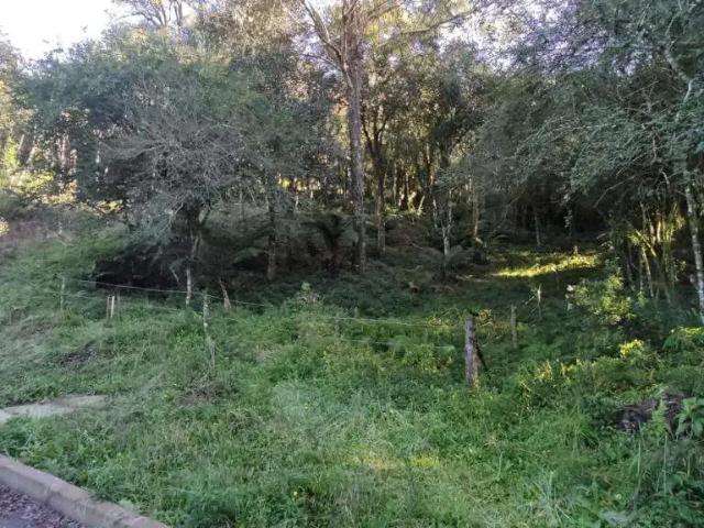 Terreno venda em Região Geográfica Imediata de Caxias do Sul, Canela