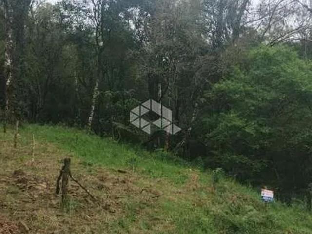 Terreno venda em Canela