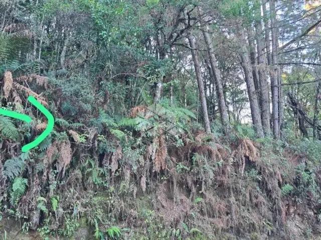 Terreno venda em Região Geográfica Imediata de Caxias do Sul, Canela