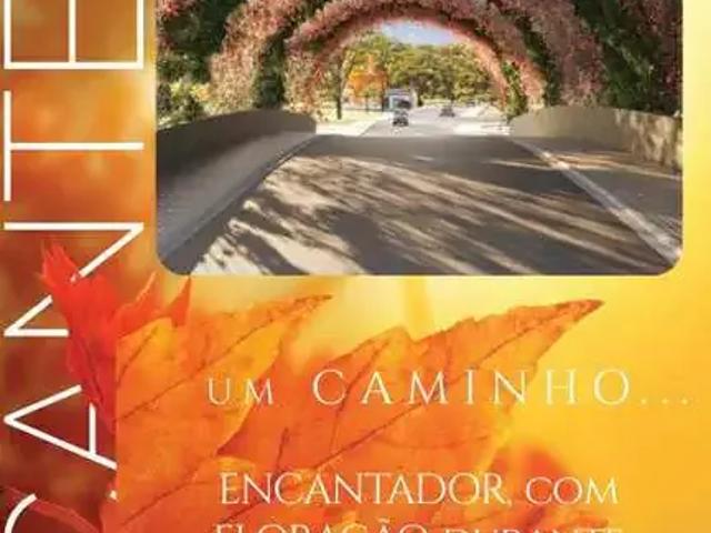 Terreno venda em Região Geográfica Imediata de Caxias do Sul, Canela