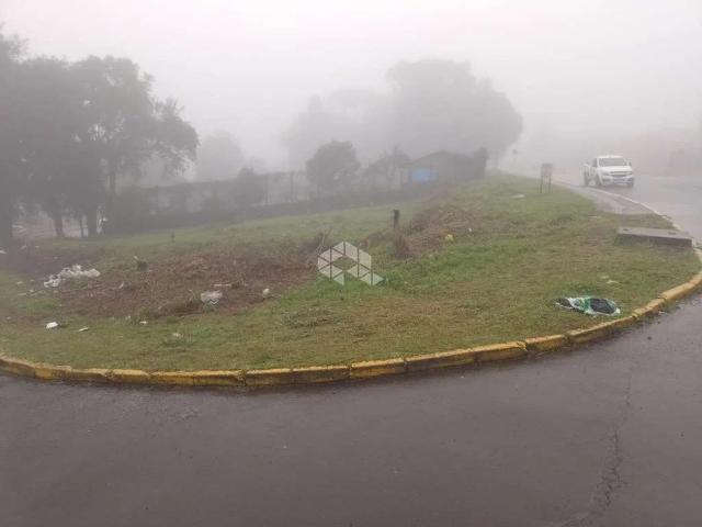 Terreno venda em Canela