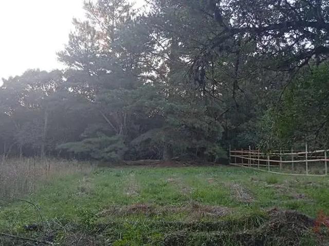 Terreno venda em Região Geográfica Imediata de Caxias do Sul, Canela
