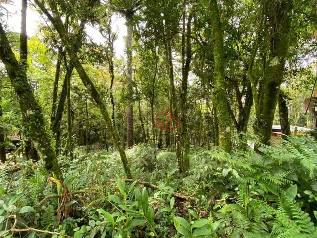 Terreno venda em Região Geográfica Imediata de Caxias do Sul, Canela