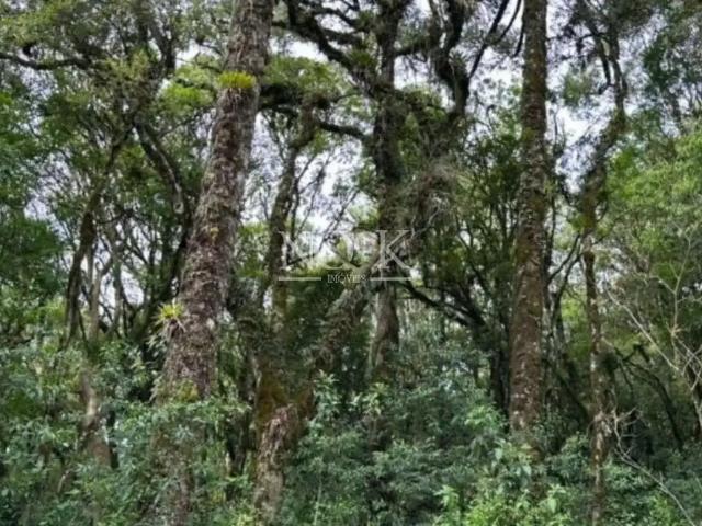 Terreno venda em Canela, Região Geográfica Intermediária de Caxias do Sul