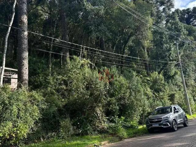 Terreno venda em Região Geográfica Imediata de Caxias do Sul, Canela