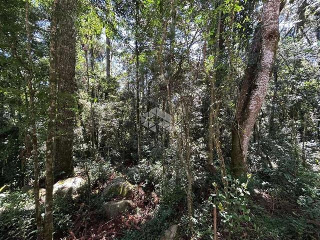 Terreno venda em Vila Luiza, Canela