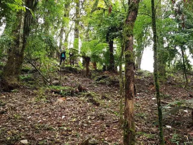 Terreno venda em Região Geográfica Imediata de Caxias do Sul, Canela