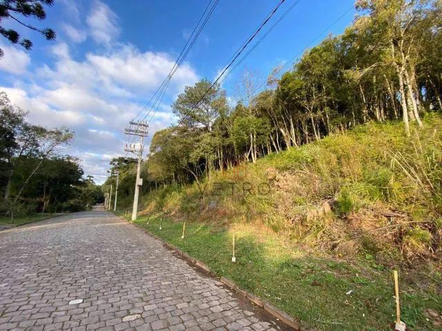 Terreno venda em Jardim dos Pinheiros, Canela