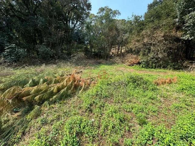 Terreno venda em Canela