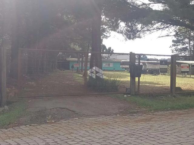 Terreno venda em Canela
