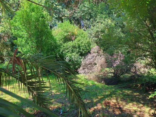 Terreno venda em Região Geográfica Imediata de Caxias do Sul, Canela